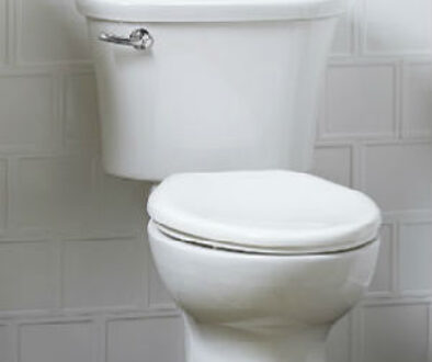 toilet-flush-lever-real-life-makeover-feature-image